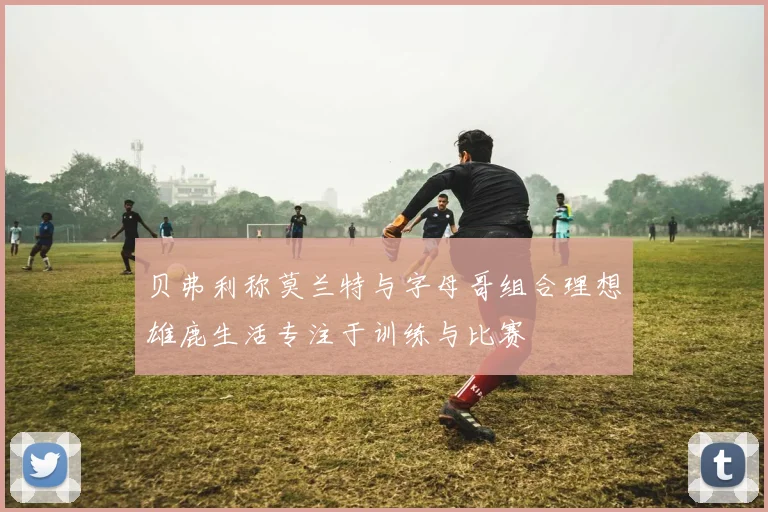 贝弗利称莫兰特与字母哥组合理想雄鹿生活专注于训练与比赛